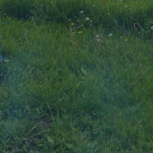 Meet your Posher, Jez